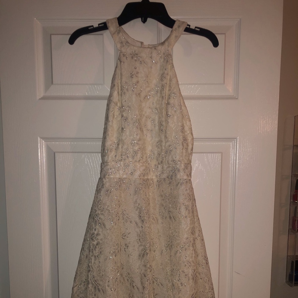 White and Silver B. Darlin Dress